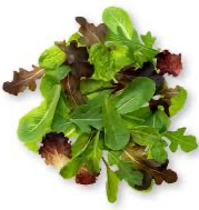 Lettuce Spring Mix (UP), 10oz