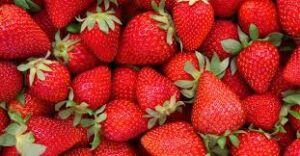 Strawberries Just Picked, 1 pail (~4.5lb)